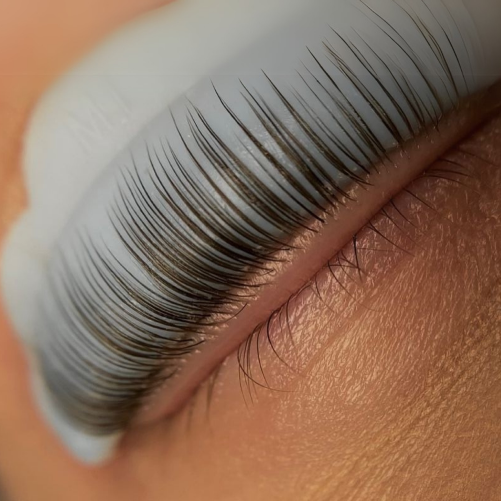 lash und brow lifting schulung